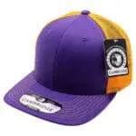 Purple/Gold
